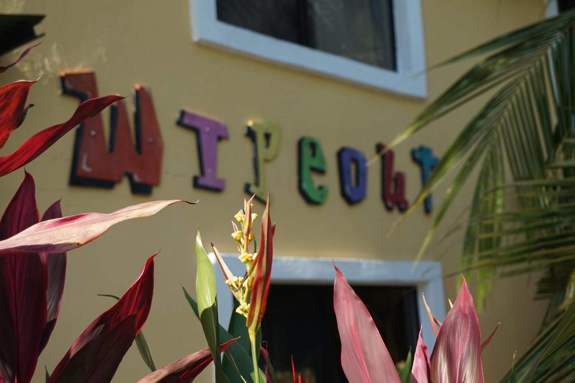 Wipeout Hostel Jacó Zewnętrze zdjęcie